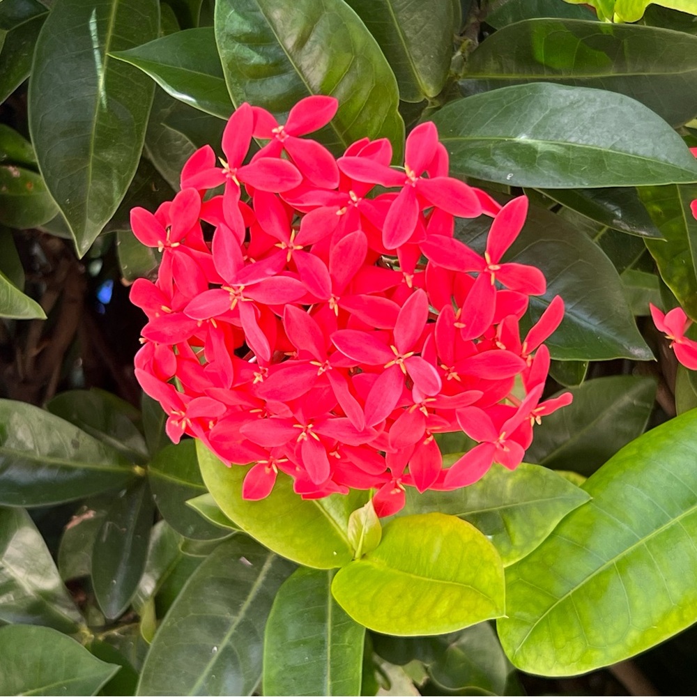 Meet your Posher, Margaret